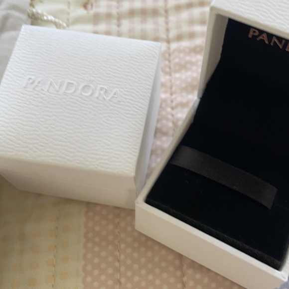 Pandora boxes and bags - Picture 2 of 4